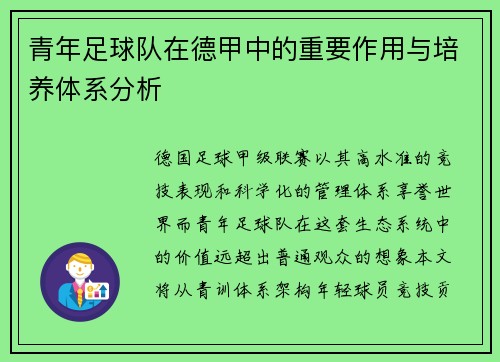 青年足球队在德甲中的重要作用与培养体系分析